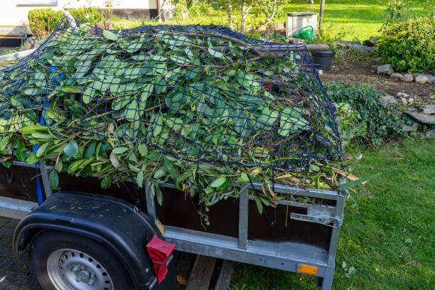 Best Furniture Removal  in Bowling Green, OH